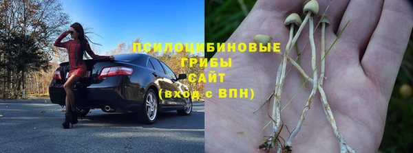 spice Абаза