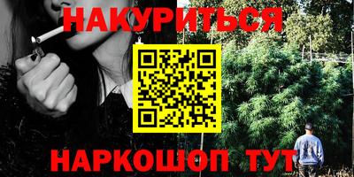 гидра Славгород