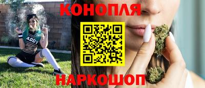 гидра Славгород