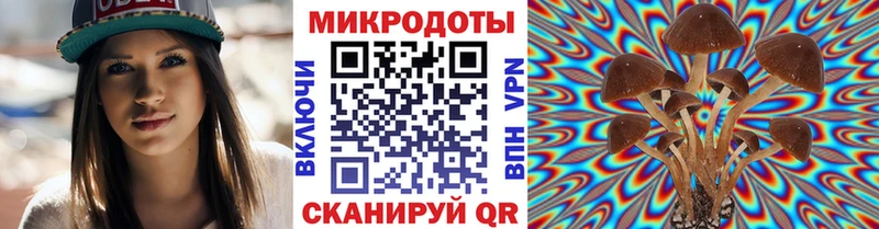 Галлюциногенные грибы Cubensis  мориарти состав  Советский 
