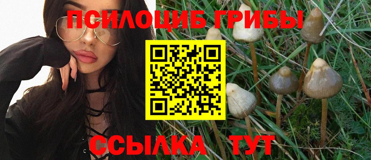 Галлюциногенные грибы GOLDEN TEACHER Советский