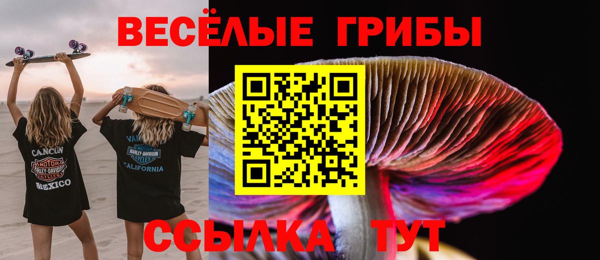 Галлюциногенные грибы ЛСД  Псилоцибиновые грибы прущие грибы  Советский  Вход с VPN 